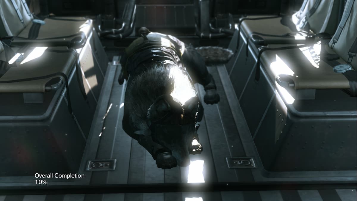 A dog sleeping in MGS V.