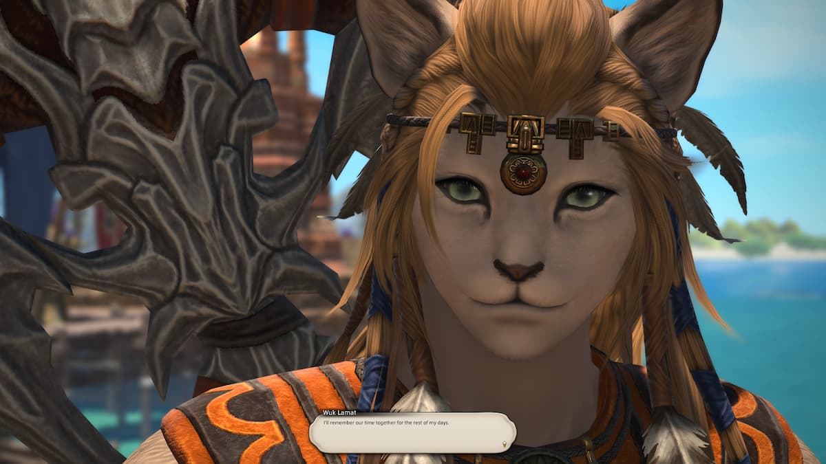 A lion girl staring straight ahead in FFXIV: Into the Mist.