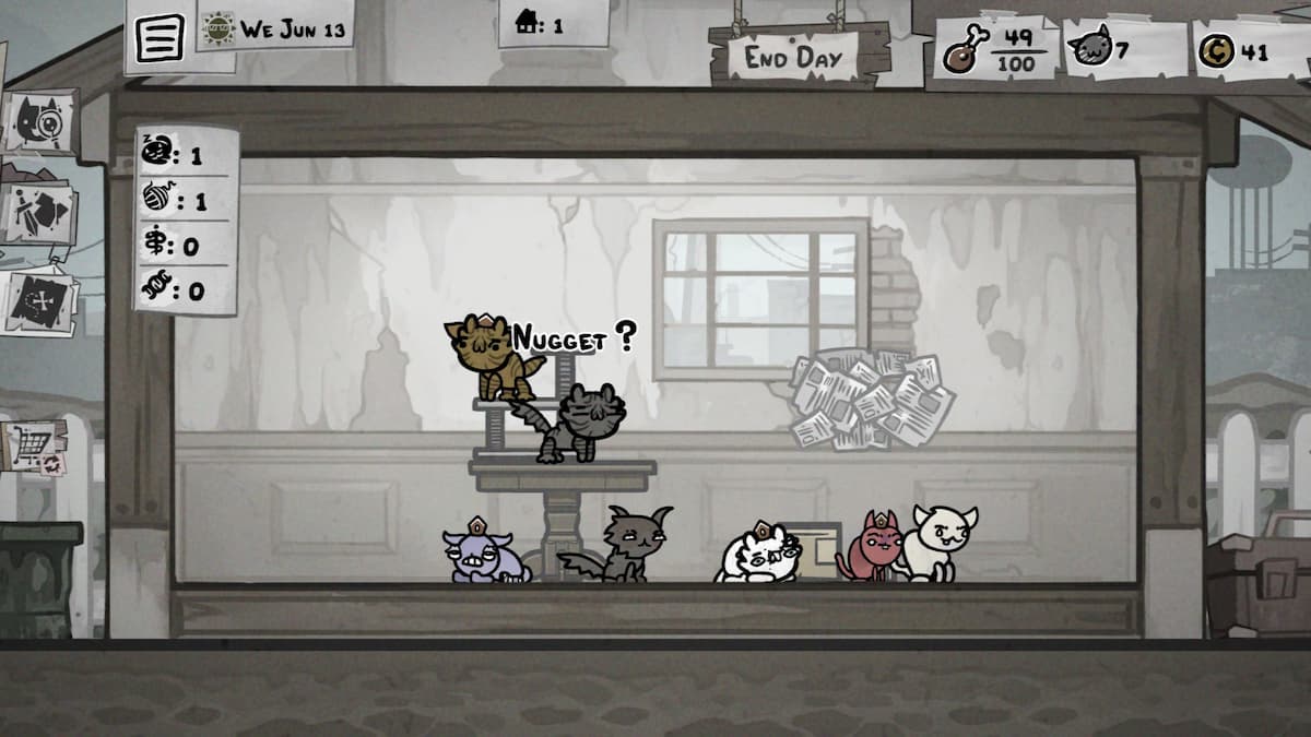 A group of cats in a house.