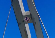 All Mocking Bird Sticker Locations in Paranormasight: The Mermaid’s Curse A Mocking Bird sticker in Paranormasight: The Mermaid's Curse.