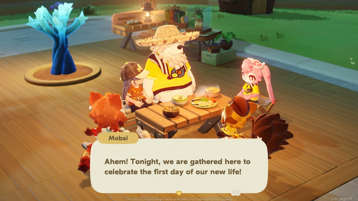 A group of friends having an outdoor dinner.